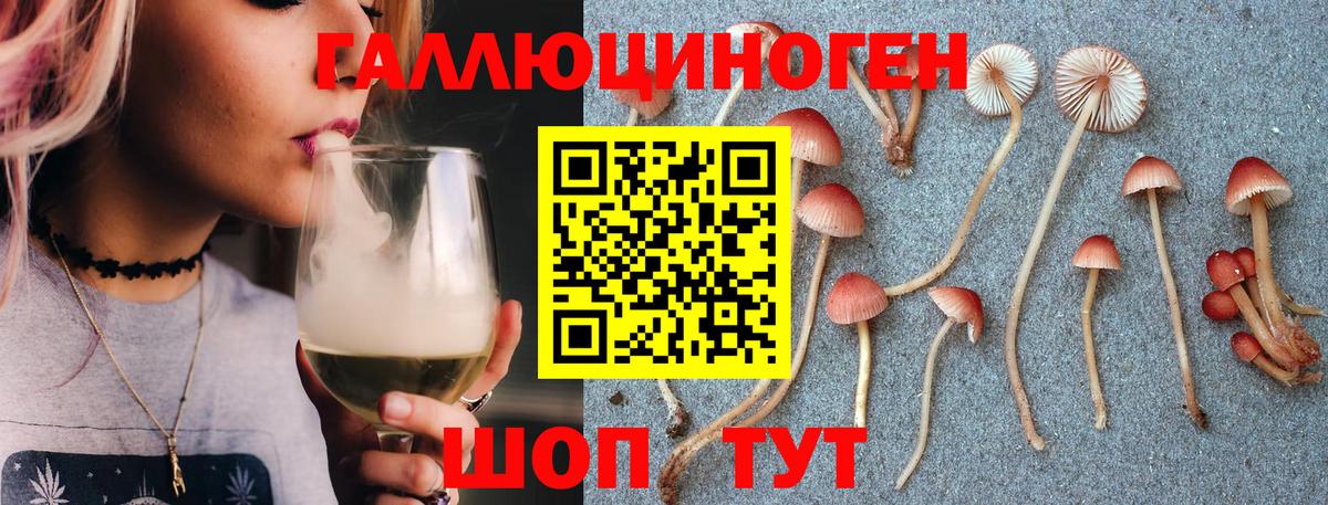 Псилоцибиновые грибы Psilocybine cubensis Волжск