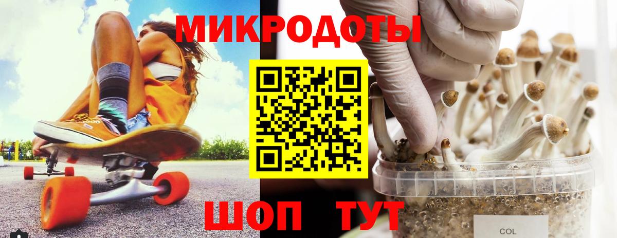 Волжск  Галлюциногенные грибы ЛСД  Вход с VPN  Псилоцибиновые грибы Psilocybe 